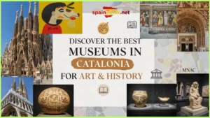 Read more about the article Discover the Best Museums in Catalonia for Art & History